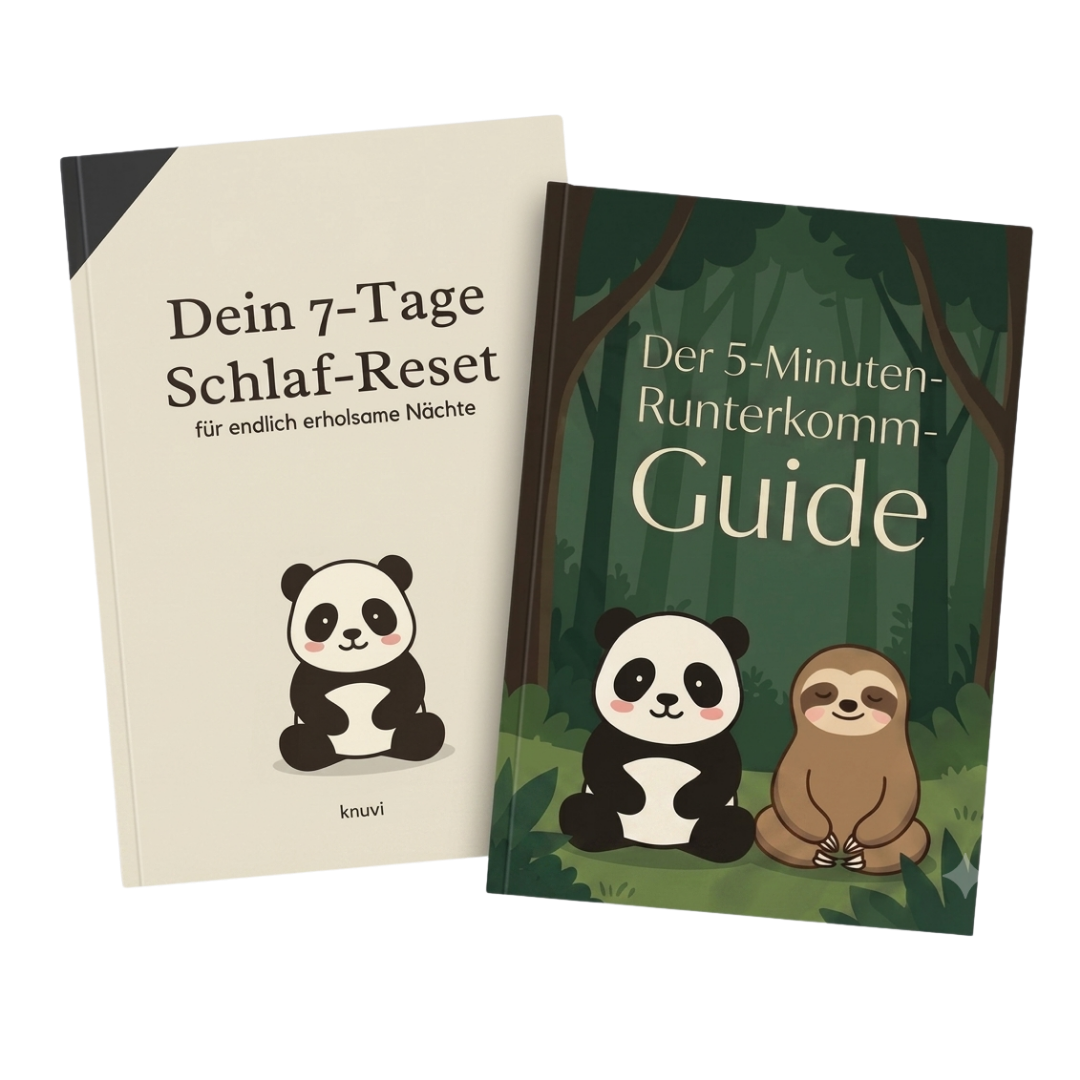 🎁 2 Gratis-E-Books (Schlaf-Reset & 5-Minuten-Guide)
